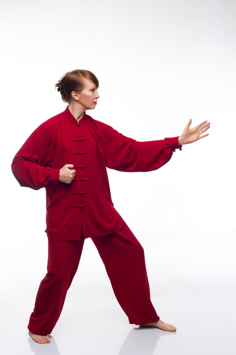 Wu Style Martial Arts